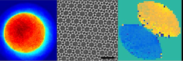 MicroscopeColum Profile Banner