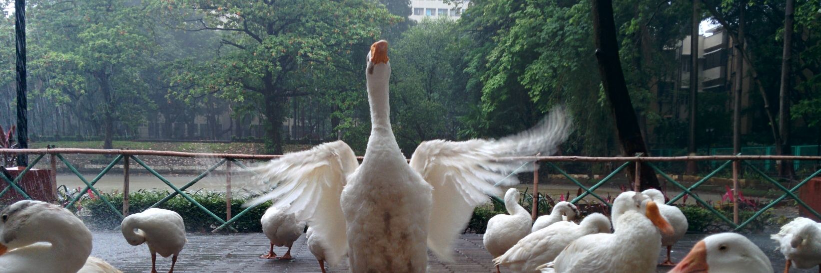 Sreekumar.G.V banner