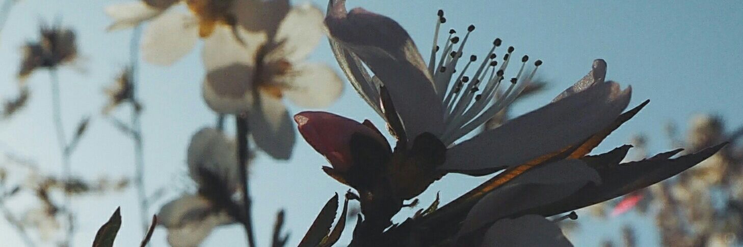 prashantstays's profile banner image