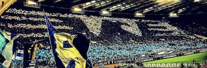 momo banner