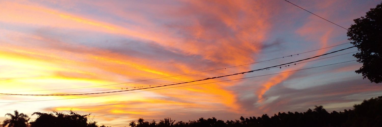 sofia_moreira23's profile banner image