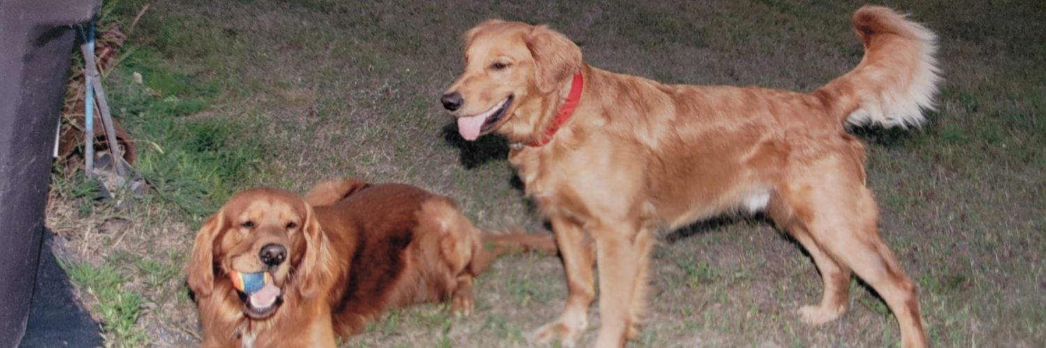 Firecaptain and Jack's banner