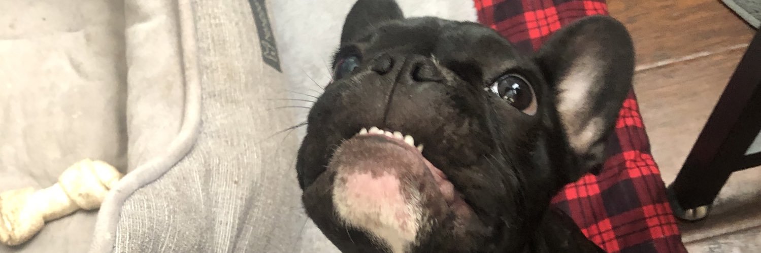 EdgarDays's profile banner image