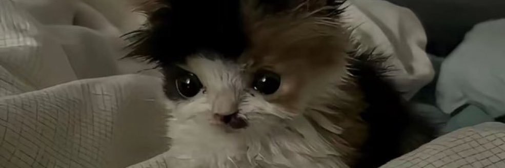 Thirdphp (COMMS CLOSED 6/6) banner