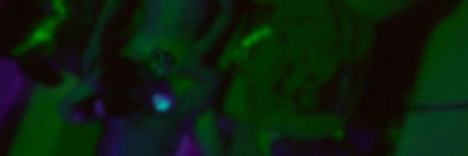 SpreadingDeath's profile banner image