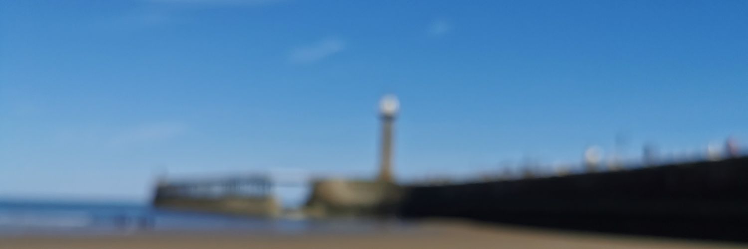 Charlotte banner