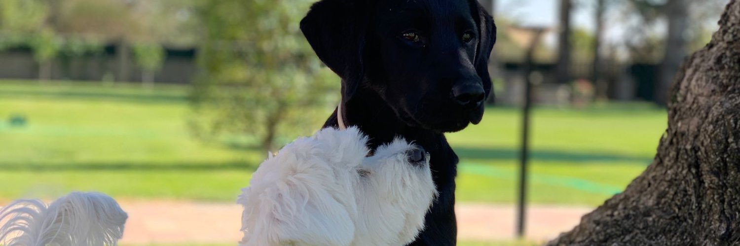 albertoobarry's profile banner image
