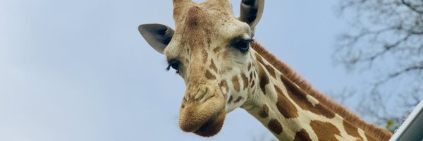 _MrsTHernandez Profile Banner