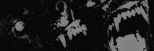 ⭑𝕸𝖚𝖙𝖙⭑'s banner