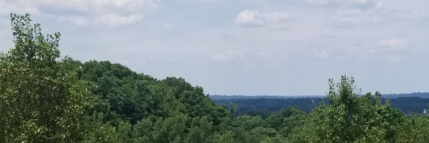 dankbrad's profile banner image