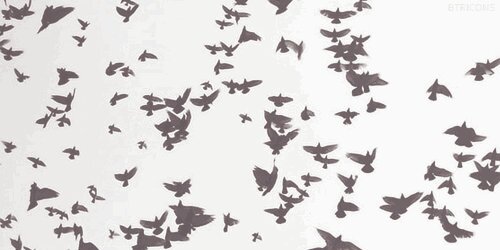 NazzyBear__'s profile banner image