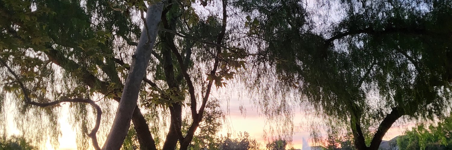 notsosubtle_'s profile banner image
