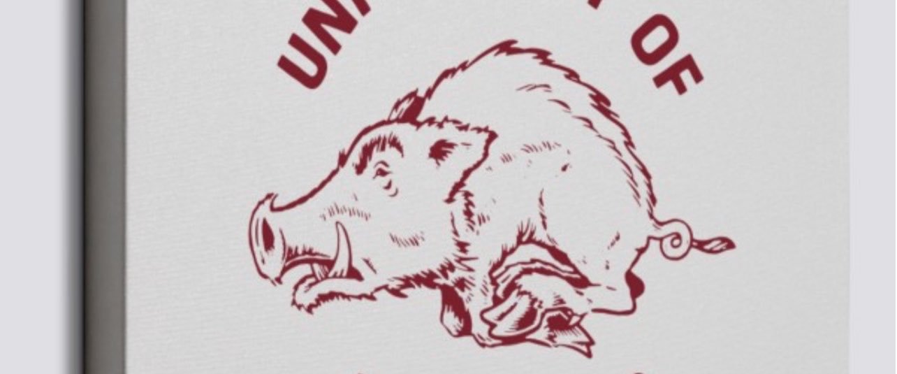 Razorbacks878's profile banner image