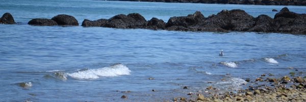 DanielleKida1 Profile Banner