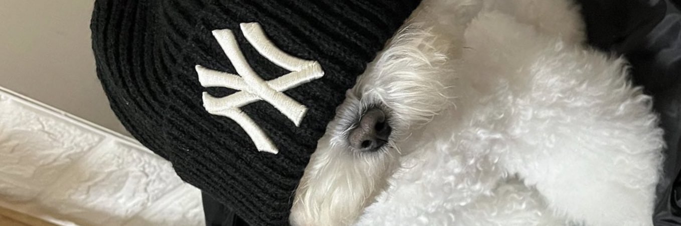 LayItOnEm_Coop's profile banner image