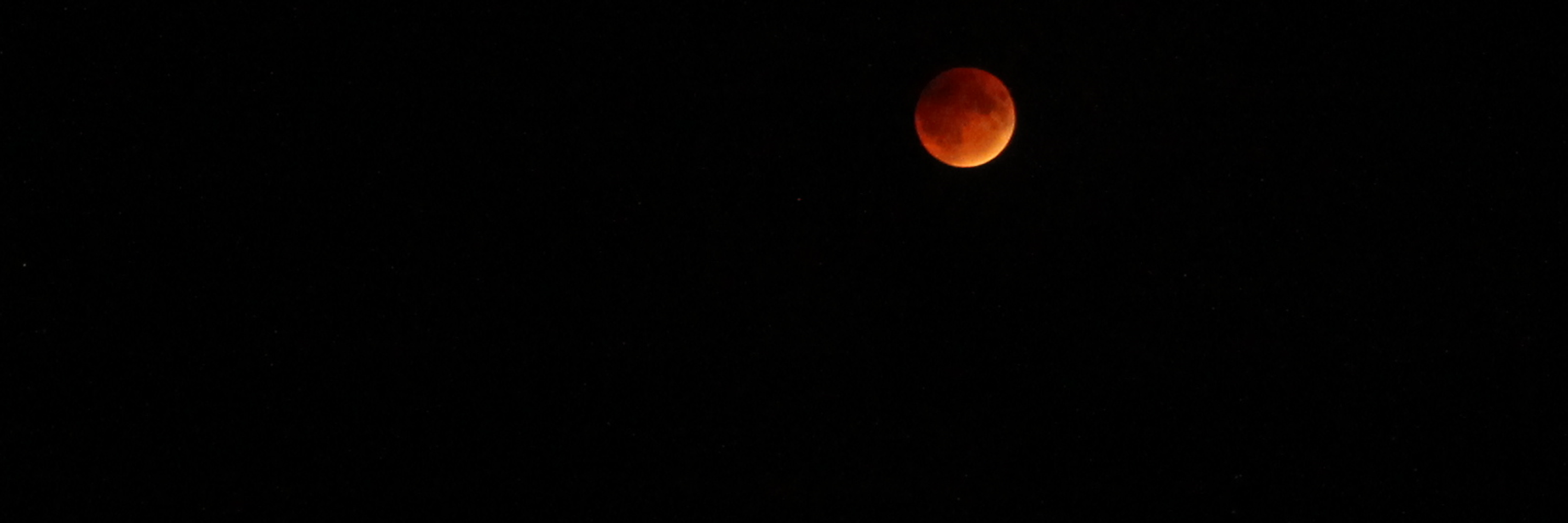 Jeff Whitmore banner