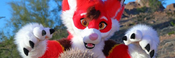 EchoFoxeh Profile Banner
