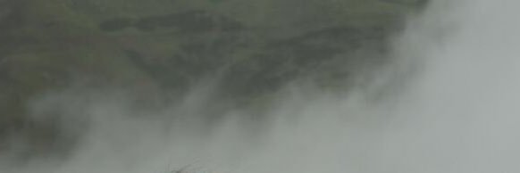 mehiamm's profile banner image