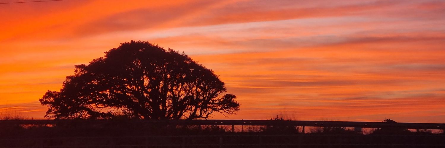 Ilai 🏳️‍🌈 banner