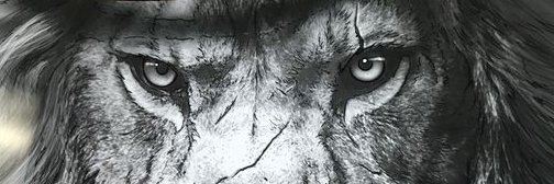 Moppakos's profile banner image