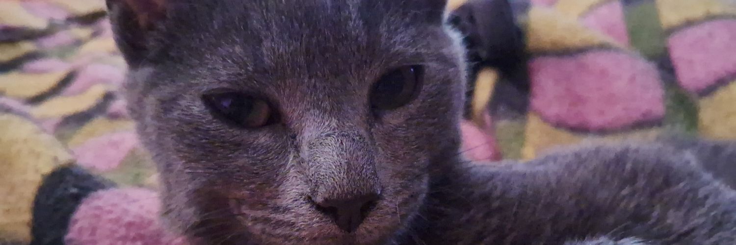 mor_ticia's profile banner image