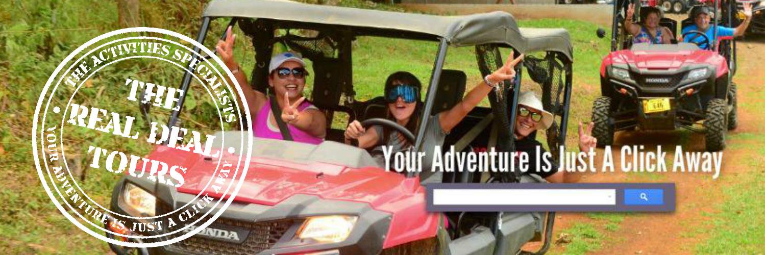 TheRealDealTour's profile banner image