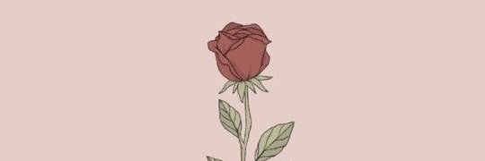 SoyTann's profile banner image
