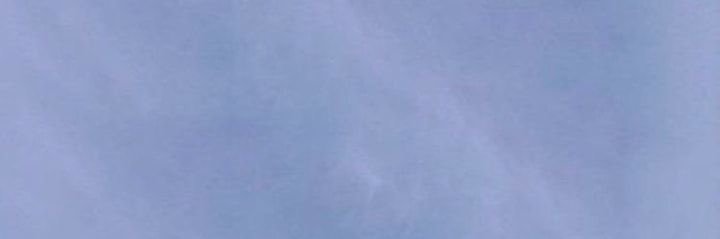 Almon banner