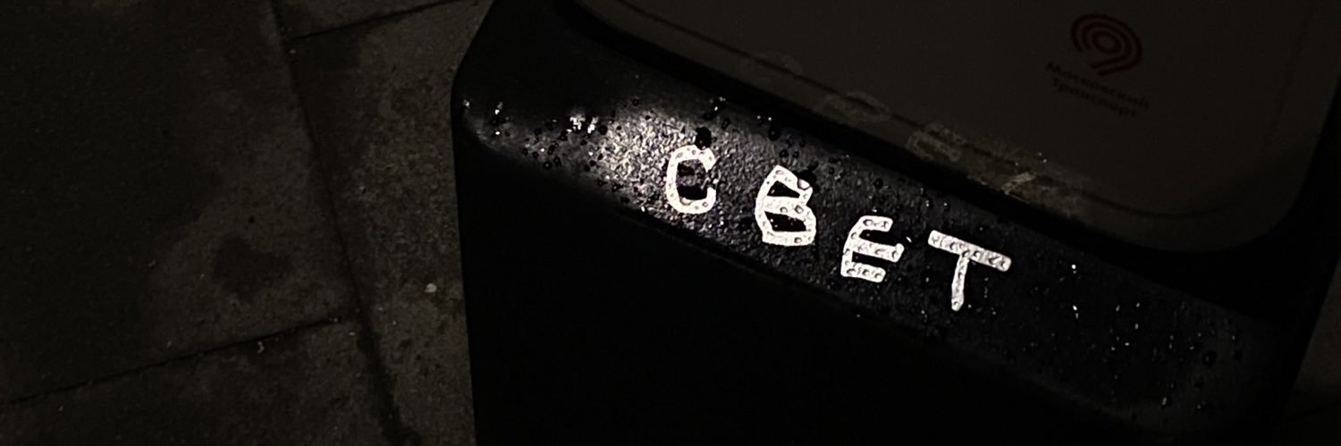 gaechkina_'s profile banner image