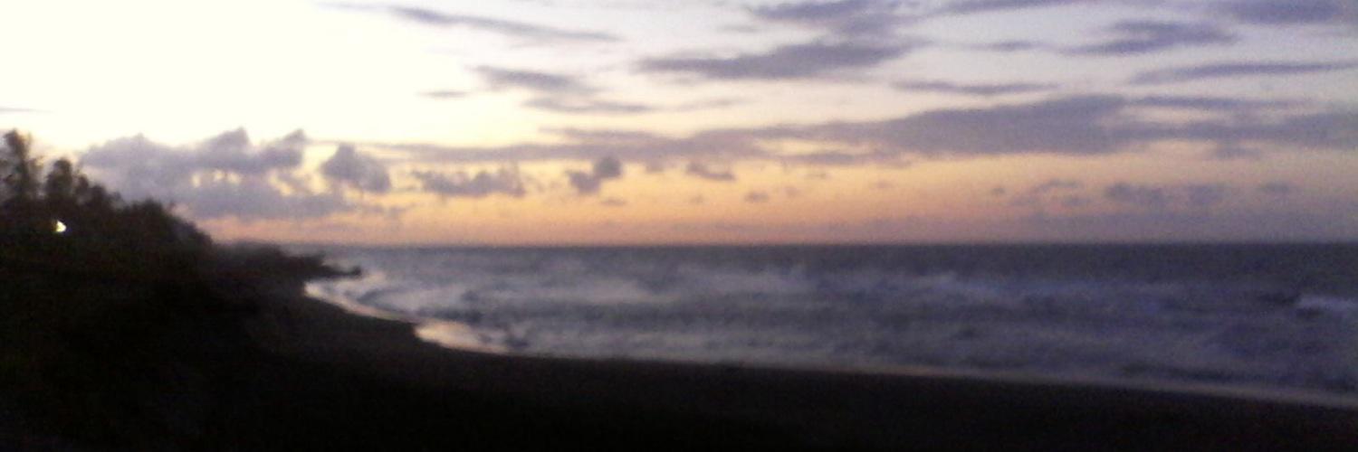 lauyce's profile banner image