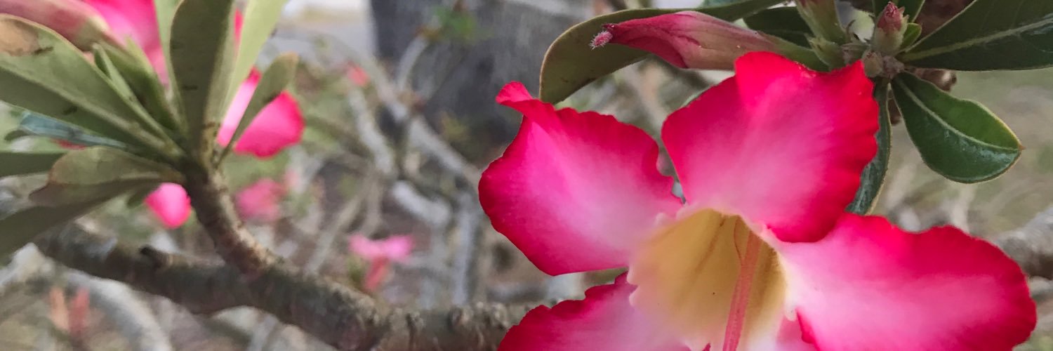 JUST1WMN's profile banner image