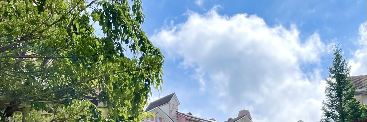 𝘽𝙍𝙊𝙊𝙆 𝘧𝘵. 𝘧𝘪𝘨𝘩𝘵 𝘧𝘰𝘳 𝘥𝘳𝘦𝘢𝘮 banner
