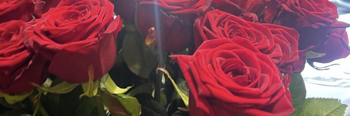 MN banner