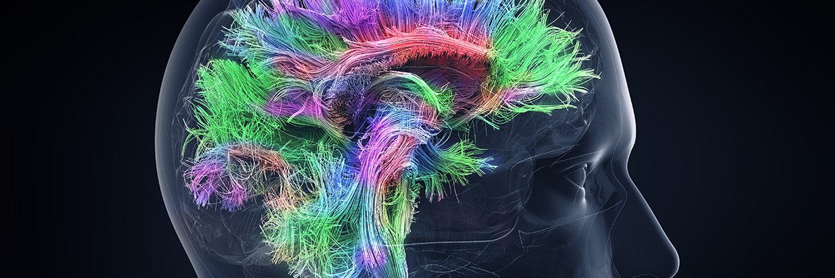 Tim van der Es banner