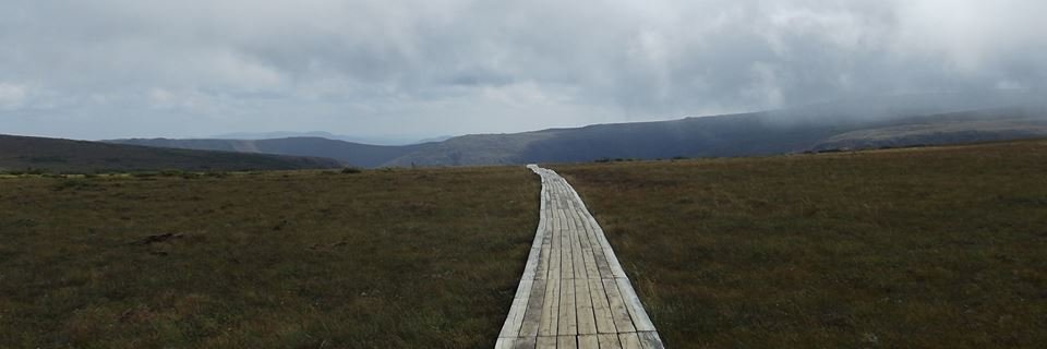 lsp_10's profile banner image