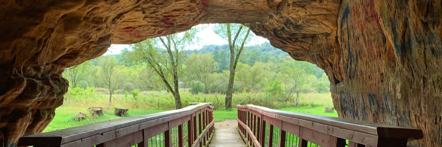 Rebecca Wallace banner