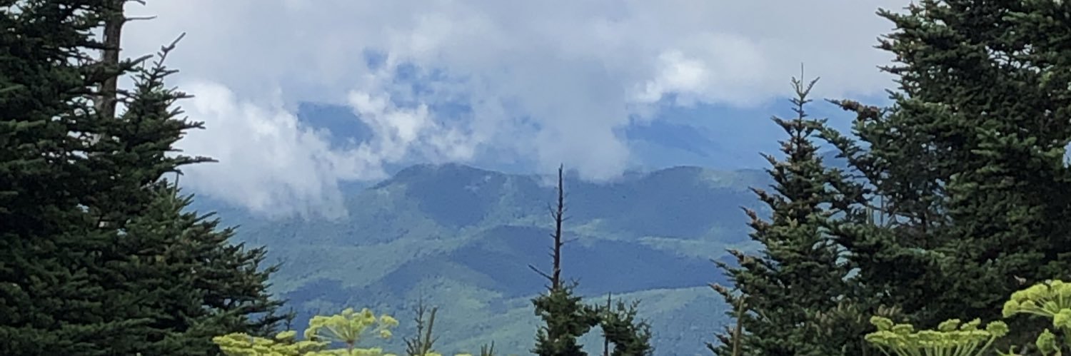 TheRicHendrix's profile banner image