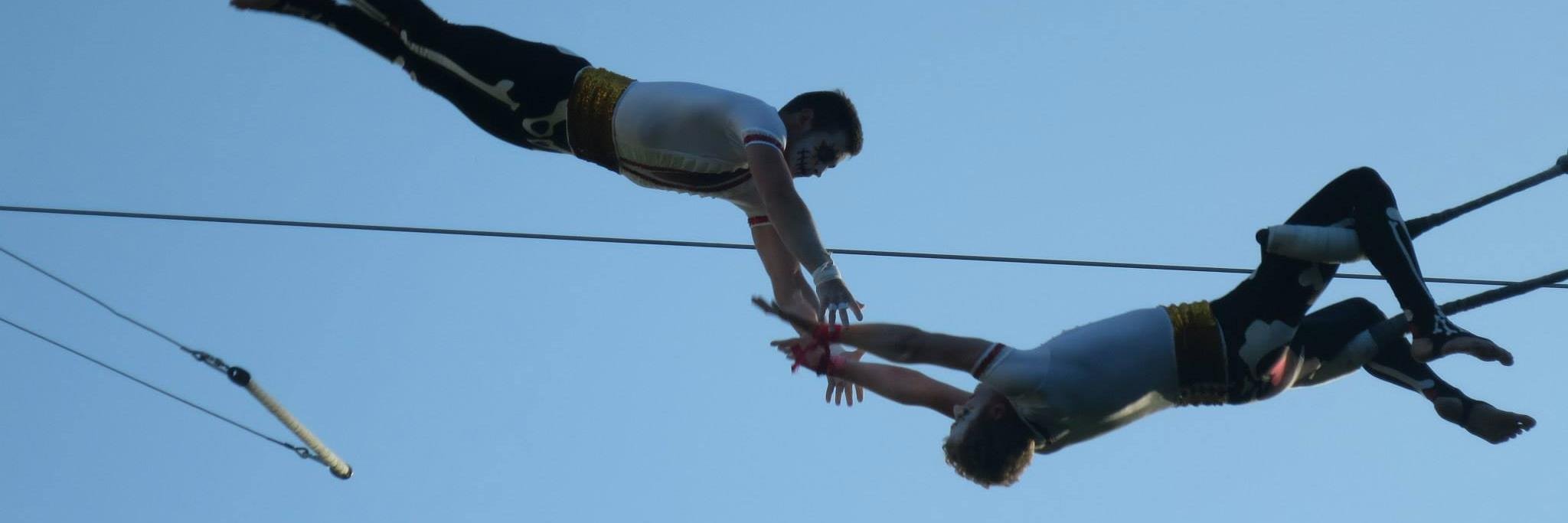 Gorilla Circus banner