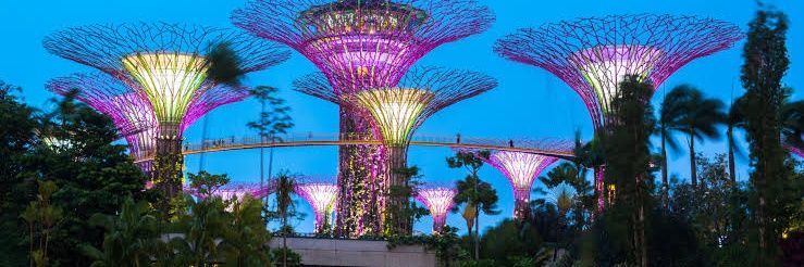 Crypto Bull And Bear banner