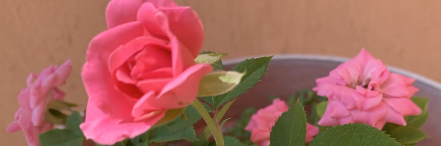 gra_fuster's profile banner image