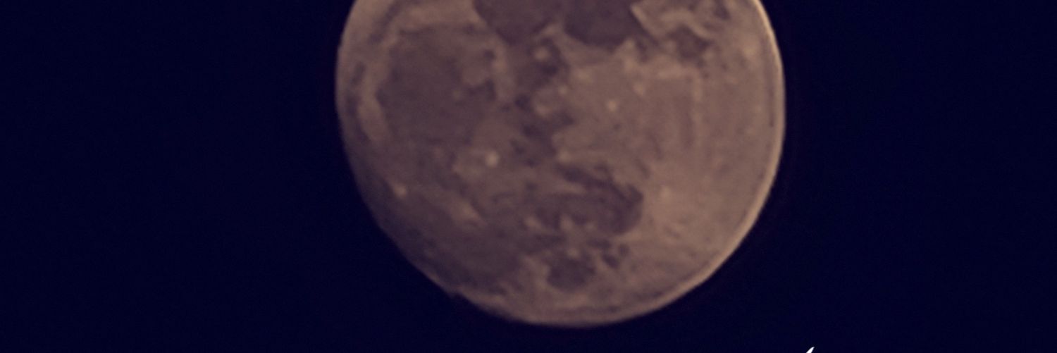 sa1111272's profile banner image