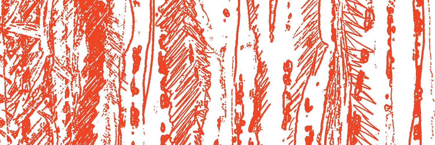 india_forest's profile banner image