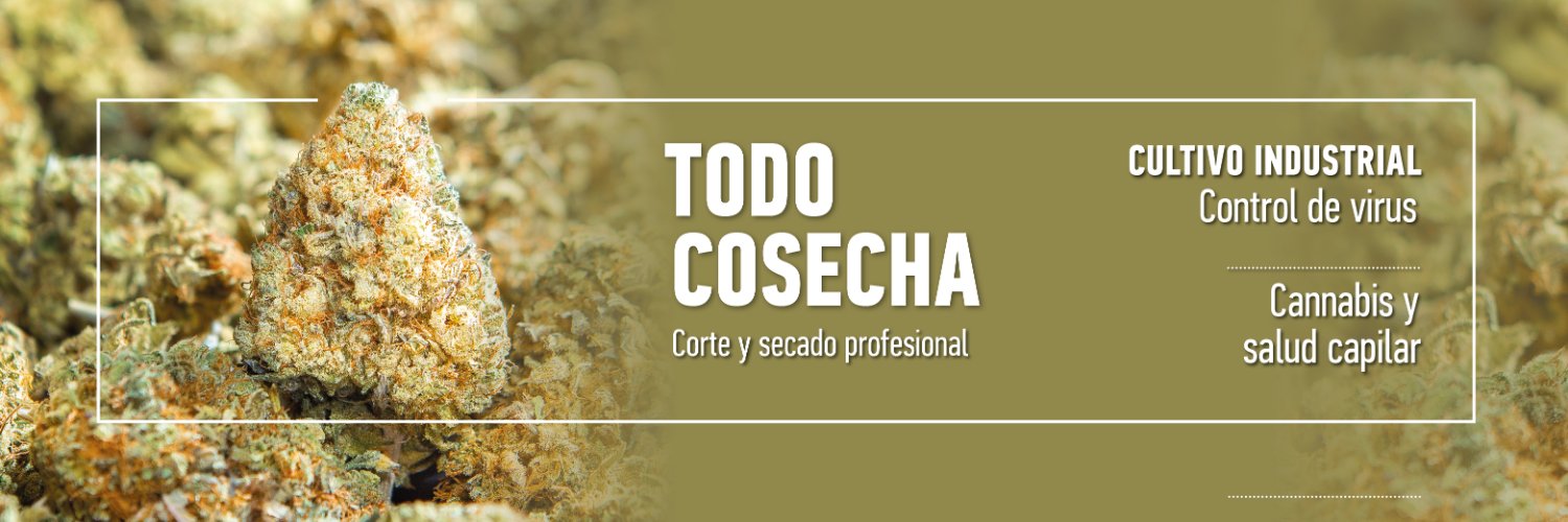 Revista THC banner