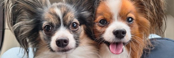 queenta1306 Profile Banner