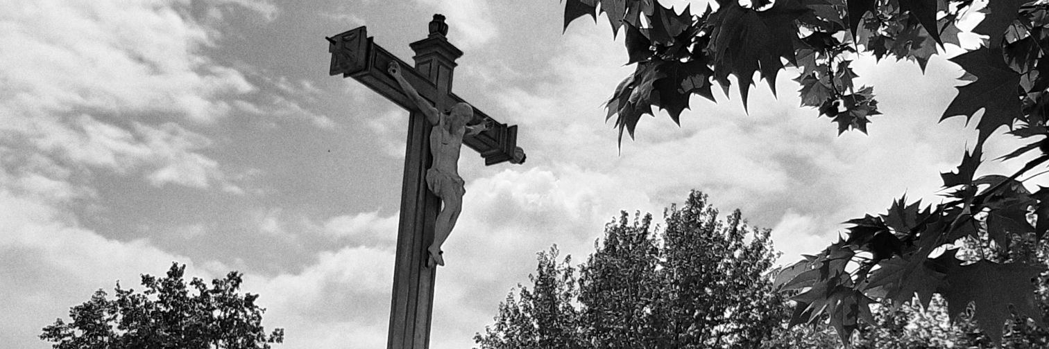 lucassgarzon's profile banner image