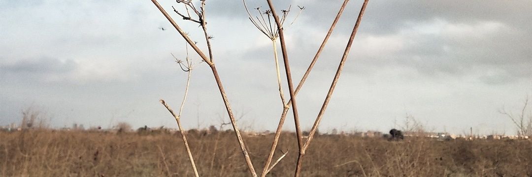agar118's profile banner image