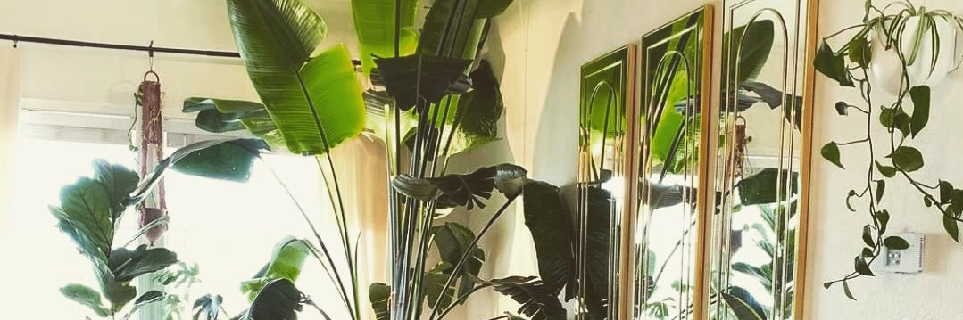CrystalTutt_'s profile banner image
