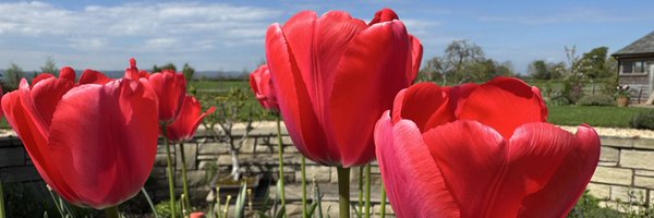 KerryHowells Profile Banner