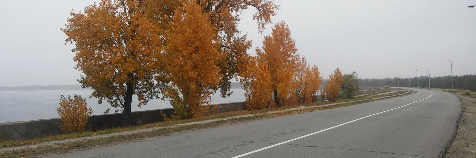 Oleg Muravitskiy banner