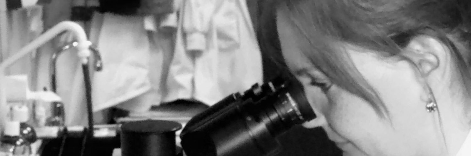 HanksEve's profile banner image